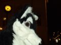 DSCF2894.JPG
